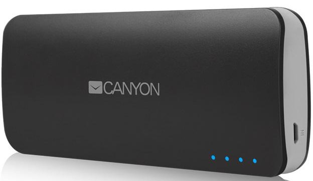 Зарядное устройство CANYON CNE-CPB100DG