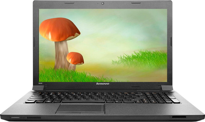 Ноутбук LENOVO B590AB