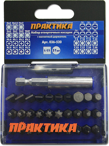 Набор бит ПРАКТИКА 31 шт.