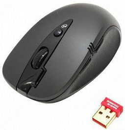 Мышь беспроводная A4TECH G10-650F