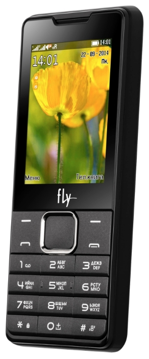 Мобильный телефон FLY DS116