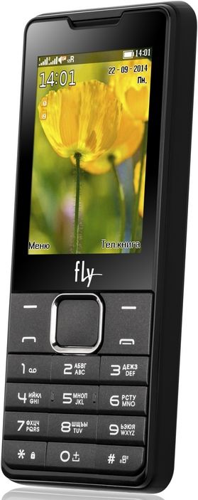 Мобильный телефон FLY DS116+