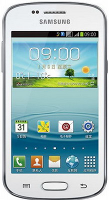 Смартфон SAMSUNG GT-I8262