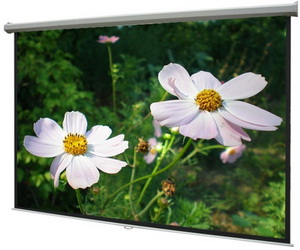 Экран  DINON  Manual 210x280 MW