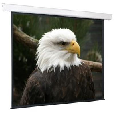 Экран  Screen Media Champion 206x274 MW