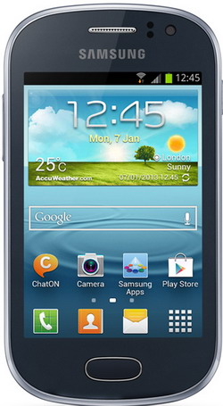 Смартфон  SAMSUNG  GT-S6810 Metalic Blue