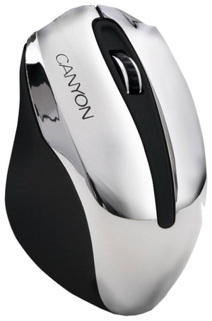 Мышь беспроводная CANYON CNL-CMSOW01