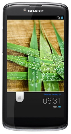 Смартфон  SHARP  SH631W Titanium