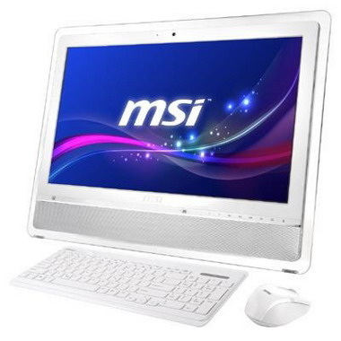 Моноблок  MSI  AE2410G-226RU