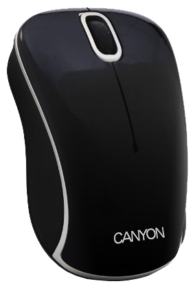 Мышь беспроводная  CANYON  CNR-MSOW04N black/silver