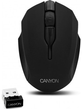 Мышь беспроводная CANYON CNR-FMSOW01