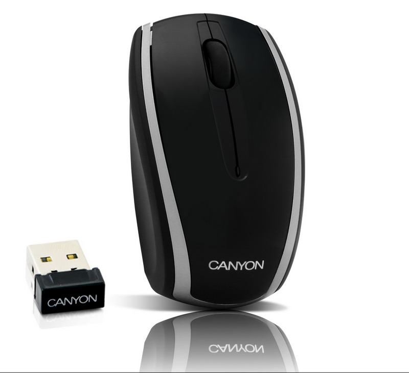 Мышь беспроводная  CANYON  CNR-MSOW03N black/silver