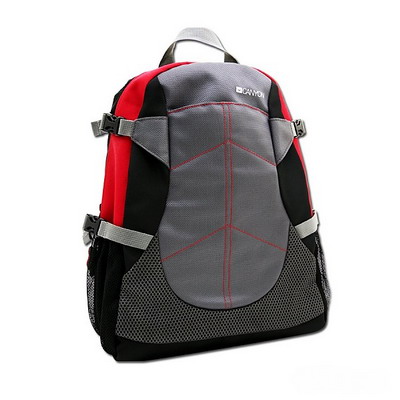 Сумка для ноутбука  CANYON  15.6" красно-сер. (SBCNFNB04R)