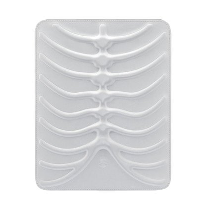 Чехол  SWITCHEASY  RibCage iPad/iPad 2 White (SW-RCP-W)