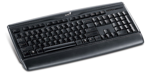 Клавиатура проводная  GENIUS  KB-120 USB black