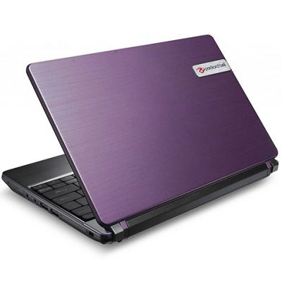 Ноутбук  PACKARD BELL  Dot SE-3V-003RU (LU.BUK08.003)