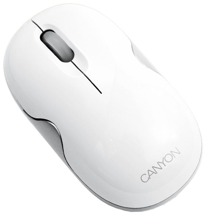 Мышь беспроводная CANYON CNR-MSBT01