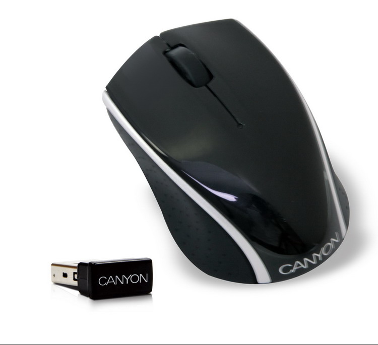 Мышь беспроводная  CANYON  CNR-MSLW03 silver