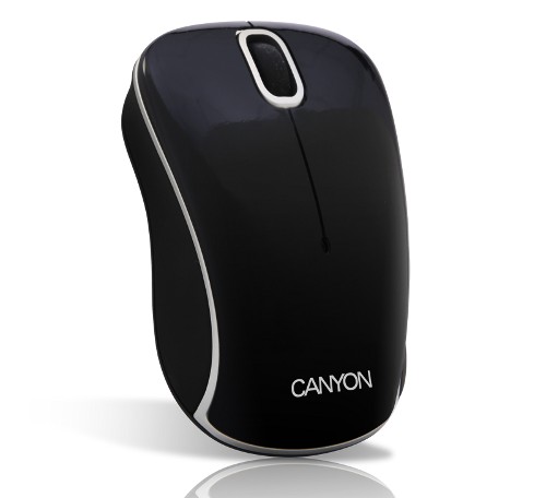 Мышь беспроводная  CANYON  CNR-MSOW04 black/silver