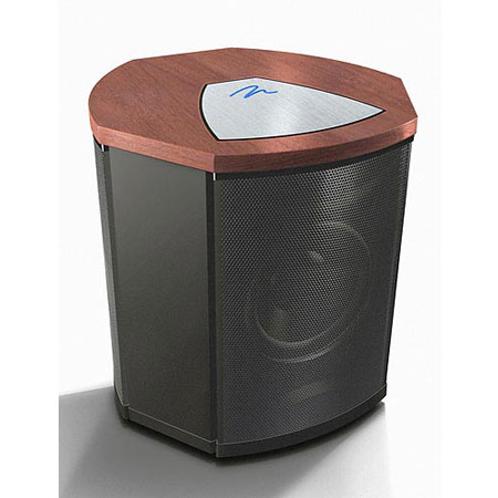 Сабвуфер  MARTIN LOGAN  Depth I Black/Bl Alum