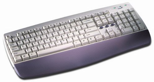 Клавиатура проводная  GENIUS  KB-06X2 PS/2 metallic