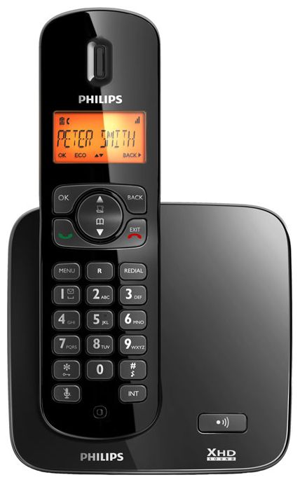 Радиотелефон  PHILIPS  CD1701 Black