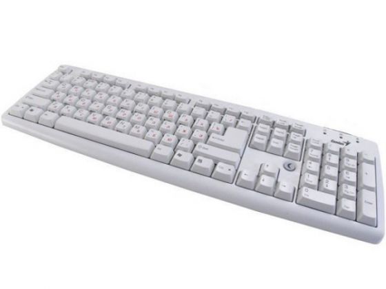Клавиатура проводная  GENIUS  KB-06XE AT