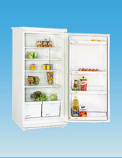 Холодильник POZIS Свияга 513-3