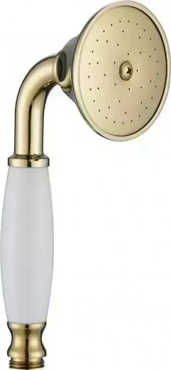 Душевая лейка KAISER SH-157 Gold