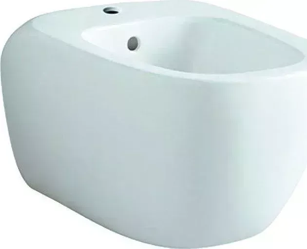 Биде Geberit Citterio 500.539.01.1