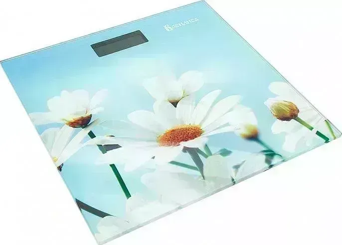 Весы напольные ВАСИЛИСА ВА-4014 Ромашки