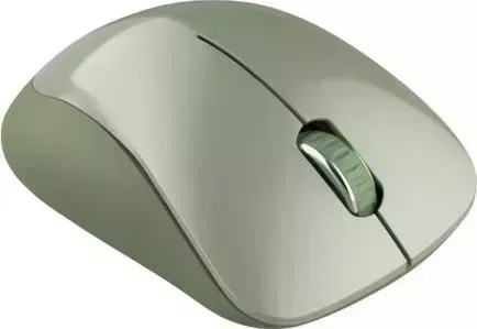 Мышь компьютерная CANYON CNE-CMSW11SM