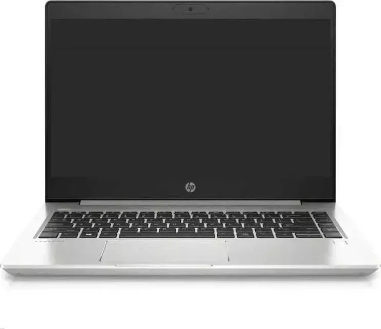 Ноутбук HP 445 G7 DOS Pike Silver (1F3K9EA)