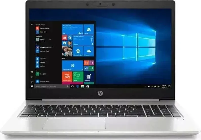 Ноутбук HP ProBook 455 G7 Windows 10 Pro серебристый (175W7EA)