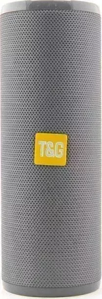 Портативная акустика    T&G TG149 серый