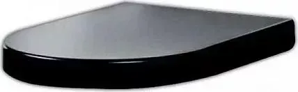 Сиденье для унитаза Am.Pm Drive C357851BL черный глянец