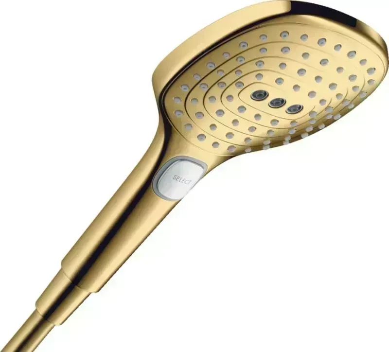 Душевая лейка Hansgrohe HansGrohe Raindance Select 26520990