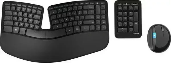 Комплект MICROSOFT Sculpt Ergonomic черный (L5V-00017)