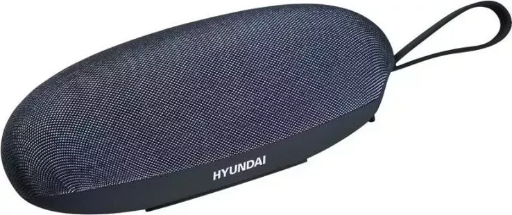 Портативная акустика HYUNDAI H-PAC260 черный/черный