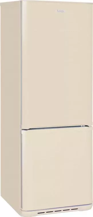 Холодильник БИРЮСА G 633