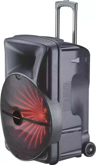 Портативная акустика    Ruimatech VA-8318