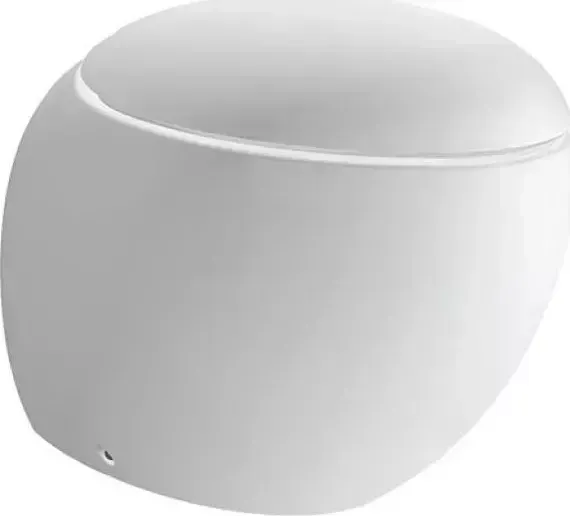 Унитаз Laufen Alessi 2197.1.400.000.1