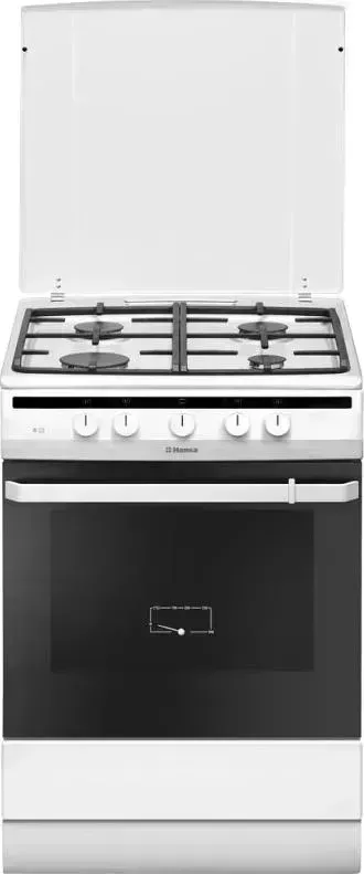 Плита газовая HANSA FCGW 63020 G