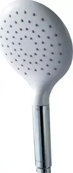 Душевая лейка Bravat Snow P70144CP-RUS