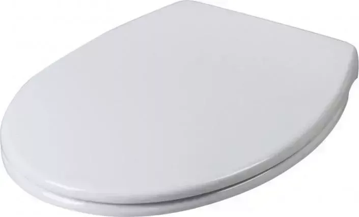 Сиденье для унитаза Am.Pm Bliss C557851WH