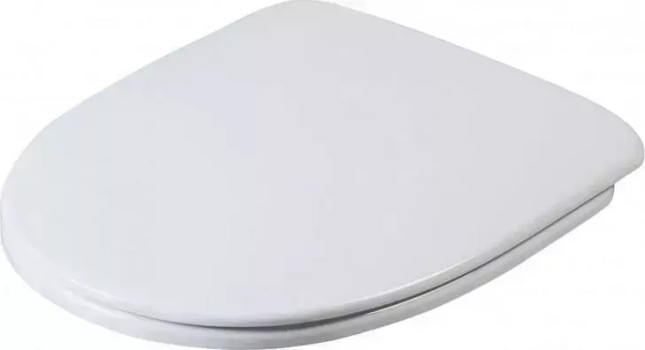 Сиденье для унитаза Am.Pm Bliss L C537851WH