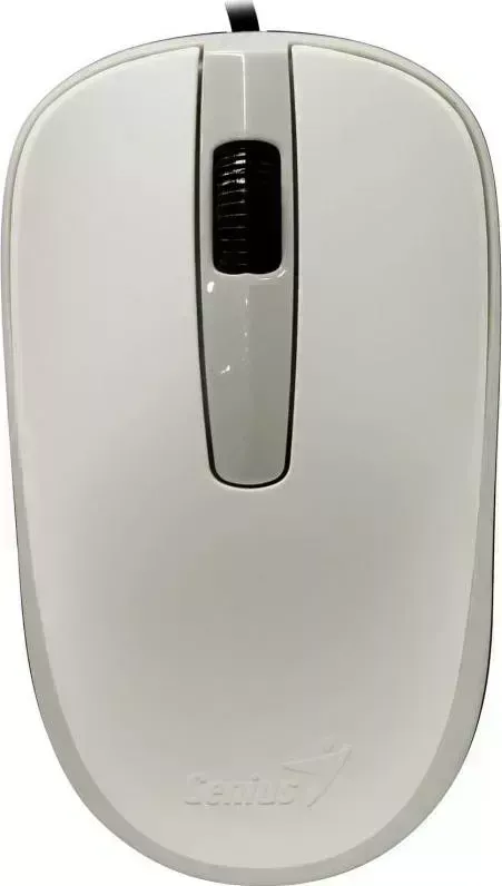 Мышь компьютерная GENIUS DX-120 White