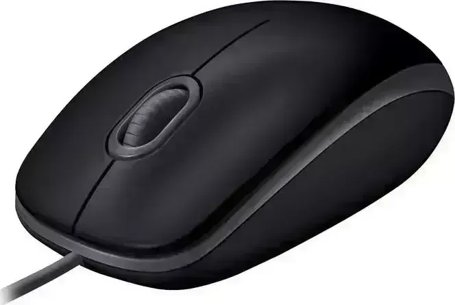Мышь компьютерная LOGITECH B110 Silent Black (910-005508)