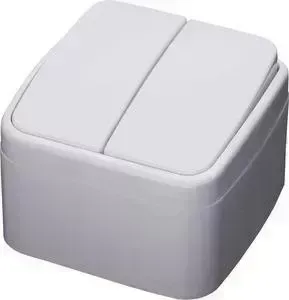 Выключатель FERON двухклавишный Stekker Basic PSW104220 39032