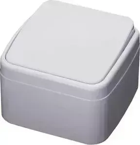 Выключатель FERON одноклавишный Stekker Basic PSW104120 39031